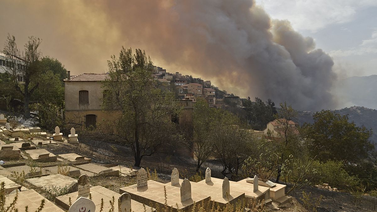 دخان يتصاعد من حريق غابات في التلال الحرجية بمنطقة القبائل شرق العاصمة الجزائر في 10 أغسطس 2021.
