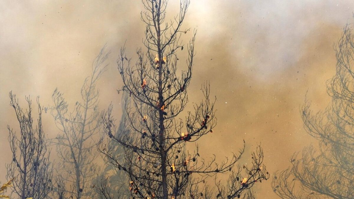 Bombeiros de mais de vinte países combatem as chamas na Grécia