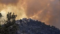 Une colline brûlée en Kabilie, Algérie le 11 août 2021
