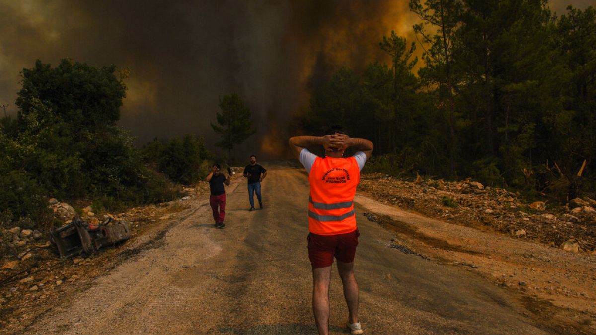 The fire-devastated Sirtkoy village, near Manavgat, Antalya, Turkey