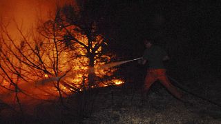 حرائق غابات في إيطاليا-أرشيف