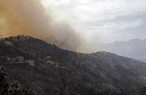 Дым от пожаров в Кабилии