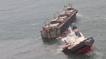Japonya'da parçalanarak, ikiye bölünen kargo gemisi petrol sızdırdı
