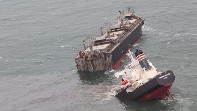 Japonya'da parçalanarak, ikiye bölünen kargo gemisi petrol sızdırdı