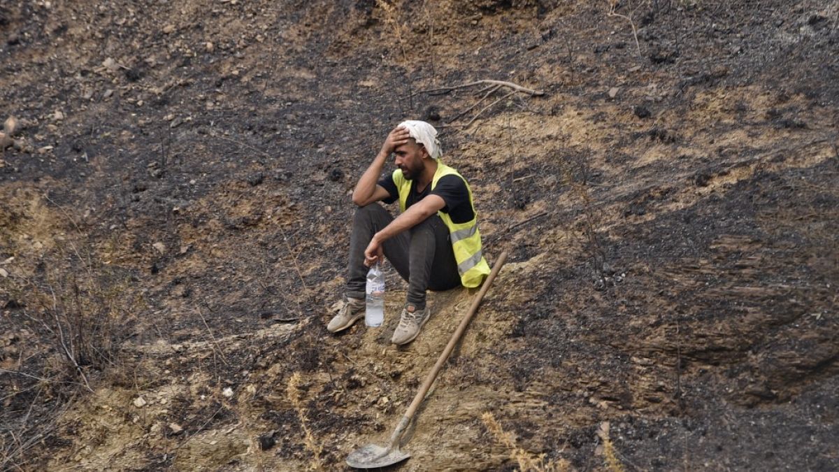 Les incendies laissent derrière eux un paysage de désolation dans les montagnes de Kabylie (Algérie), le 11/08/2021