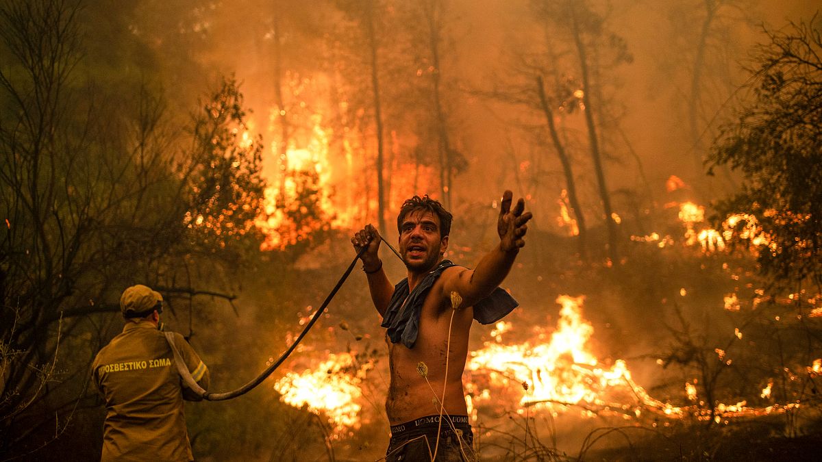 De Argelia a Siberia, los incendios devoran hectáreas y siegan vidas