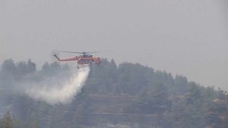  100.000 Hektar Wald in Griechenland verbrannt