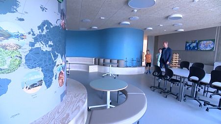 The new Frello School in Varde, western Denmark.