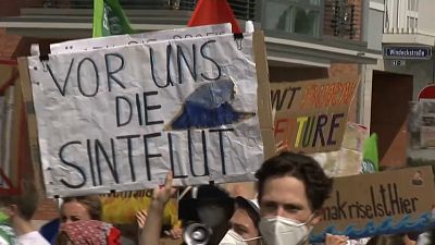 Climate change protest in Frankfurt targets financial sector