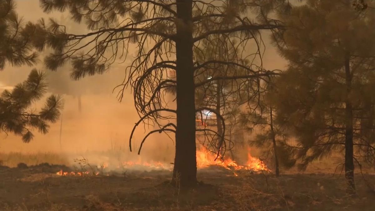Im Kampf gegen die Flammen sind allein in Kalifornien 6.000 Feuerwehrleute im Einsatz