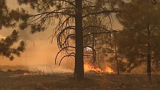 Dozens of California fires threaten thousands of homes and whole towns