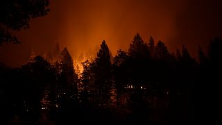 Kaliforniya'daki orman yangınları
