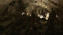 Höhlen in Slowenien: Grottenolm braucht 12 Jahre keine Nahrung
