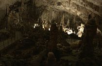 Dans ces grottes, certaines créatures n'ont jamais vu la lumière du jour.