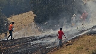 L'Algérie continue de lutter contre 19 feux de forêt