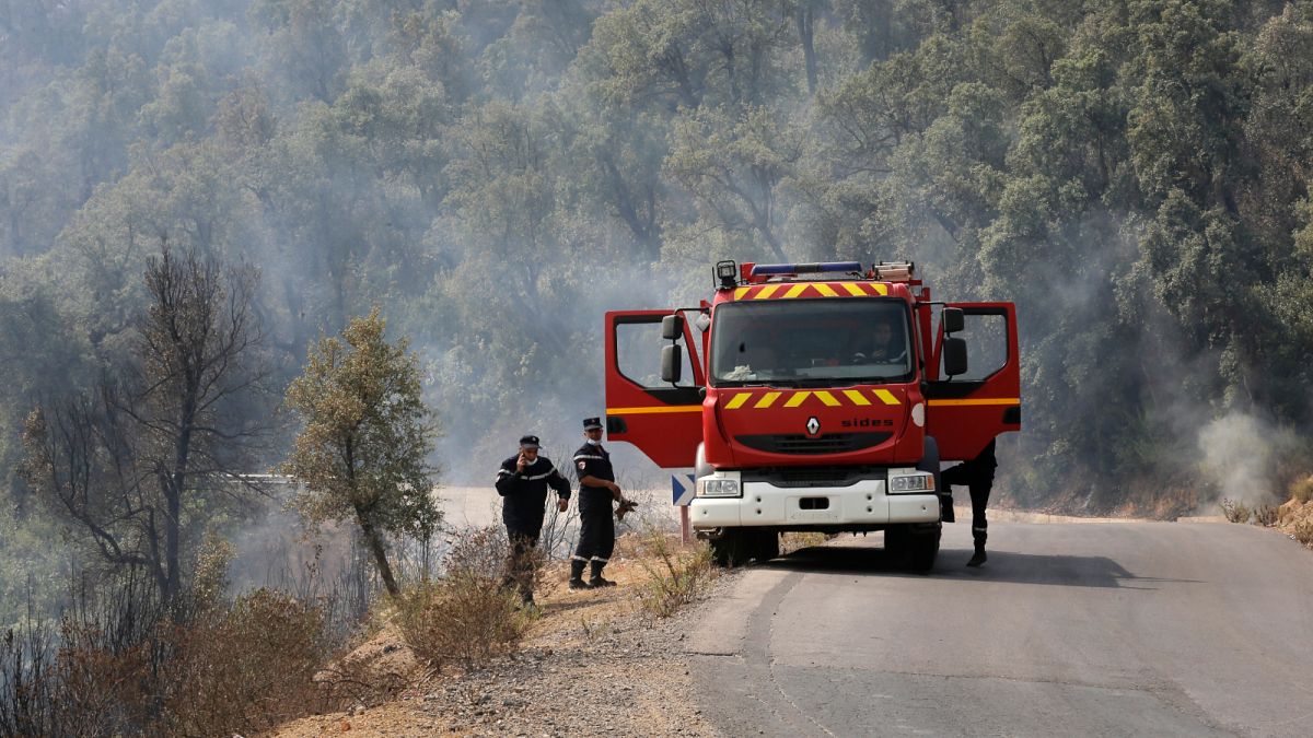 فرق رجال الإطفاء الجزائرية تعمل بالقرب من قرية توجة في منطقة القبائل أثناء اندلاع حرائق.
