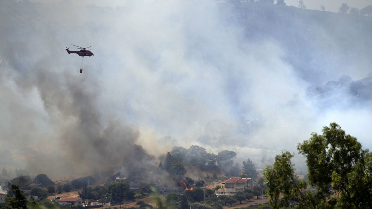 Incendi boschivi nel Mediterraneo, colpa dei cambiamenti climatici