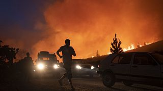Forest fires rage in northern Morocco