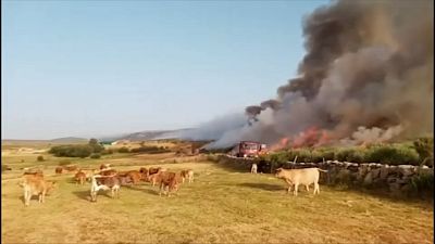 Der Buschbrand in Ávila in Zentralspanien ist nur teilweise unter Kontrolle
