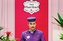 Welcome to the Patch Plant Hotel: the perfect getaway for your greeneries