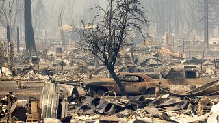Devastation caused by wildfire in California, USA