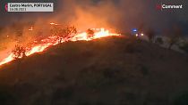 آتش‌سوزی در جنگل های منطقه الگاروه پرتغال؛ شهروندان خانه‌های خود را ترک کردند