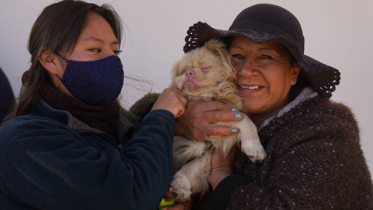 Deux femmes et leur chien assistent à la messe organisée pour célébrer la saint Roch, le saint patron des chiens, à El Alto, en Bolivie, le 16 août 2021. 