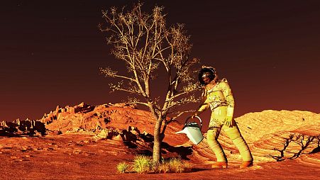 What would Mars look like if we grew plants on its surface?