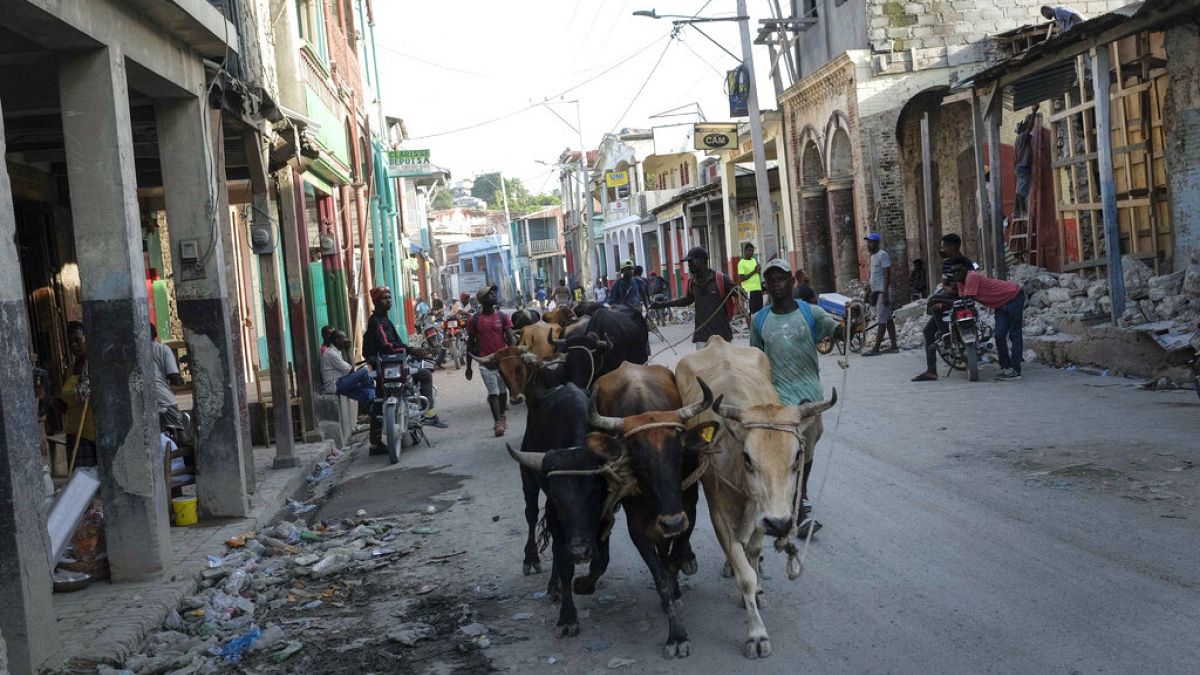 Гаити: последствия землетрясения