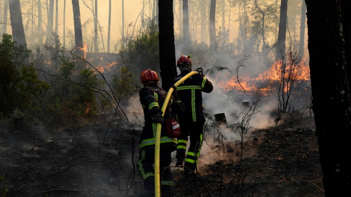 Südeuropa in Flammen: Brände verschlingen die Wälder