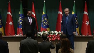 Erdogan calls for a peaceful resolution to Ethiopia's Tigray conflict