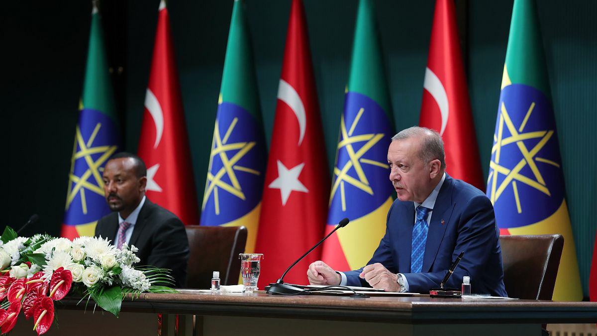 Cumhurbaşkanı Recep Tayyip Erdoğan ile Etiyopya Başbakanı Abiy Ahmed