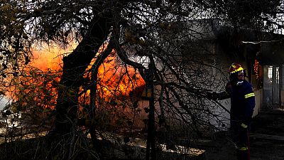 A firefighter extinguish the fire to a house during a wildfire in Thea area some 60 kilometers northwest of Athens.
