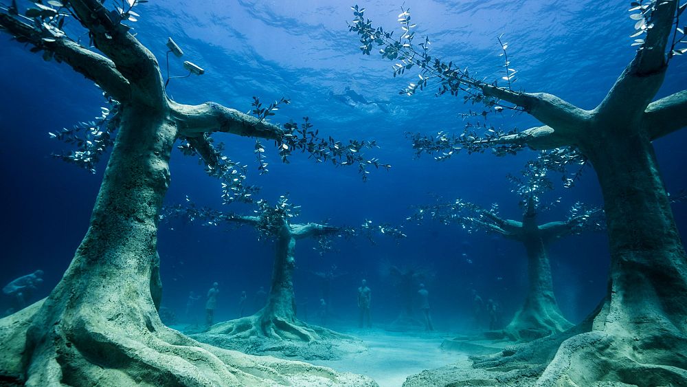 Sunken sculptures help rewild marine ecosystems