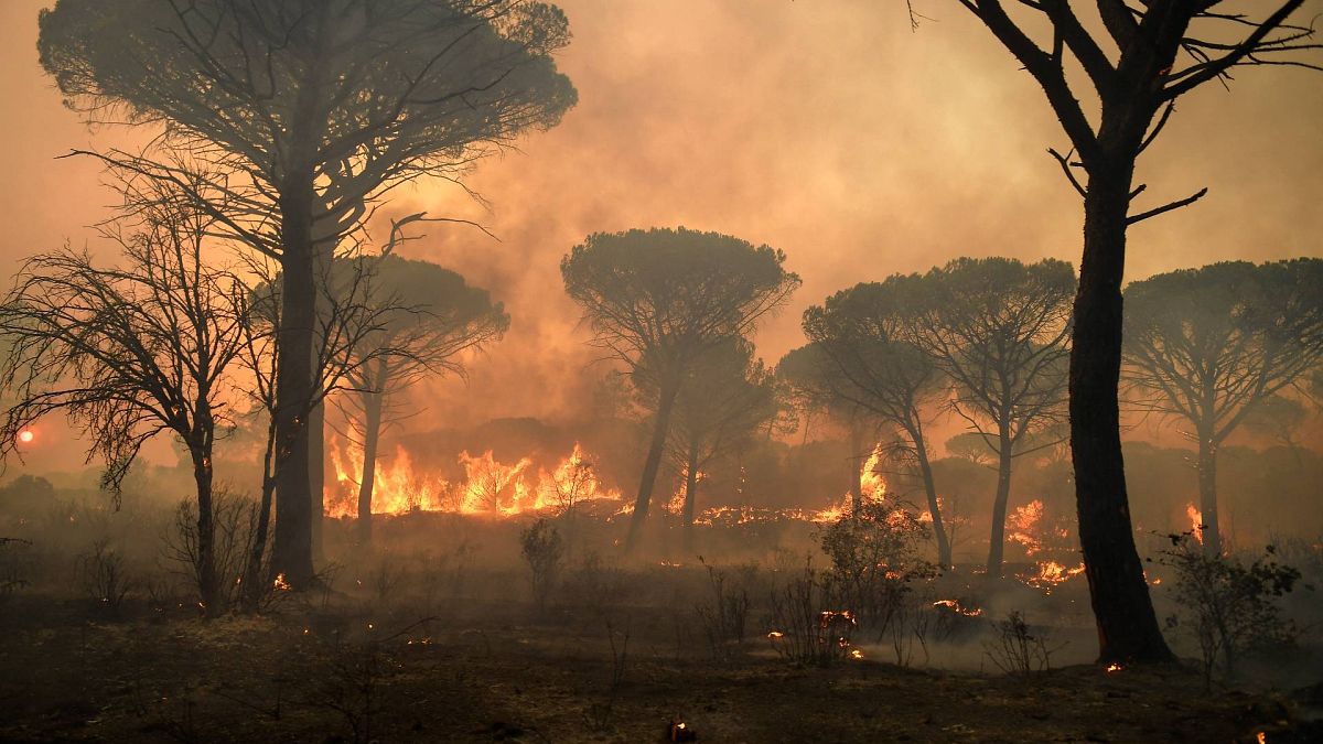 Fransa'nın Var bölgesindeki yangının bilançosu artıyor: 2 ölü