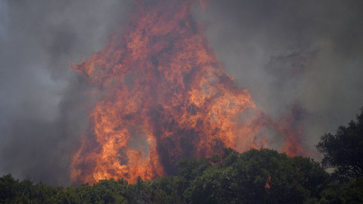 Лесные пожары на юге Франции