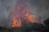 Incendios en el sur de Francia
