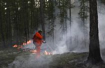 Пожарные тушат лес в Якутии