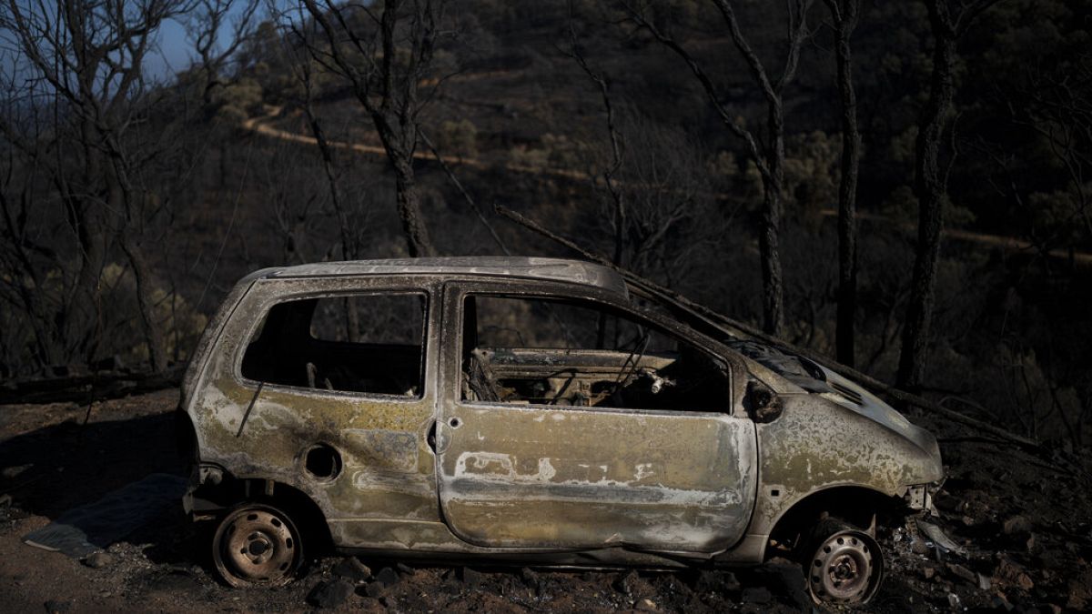 Südfrankreich: Mit Löschflugzeugen gegen die Flammen