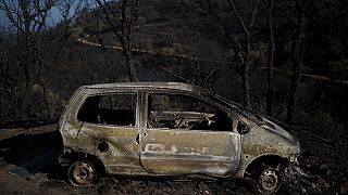 Südfrankreich: Mit Löschflugzeugen gegen die Flammen