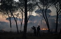 Пожар на юге Франции