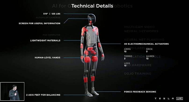 Tesla insansı robot yapacağını duyurdu: Tesla Bot | Euronews