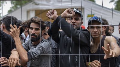 Aggódik az Európa Tanács amiatt, ahogy a menedékkérőkkel bánik Litvánia 