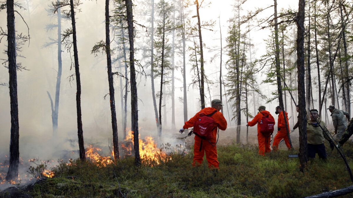 اعلام وضعیت اضطراری در روسیه در پی آتش‌سوزی گسترده جنگل‌های ماری‌ال