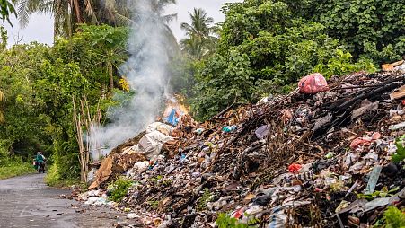 Though climate change is exacerbating wildfires, there are still things we can do to help prevent them in our own countries.