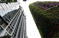 Arquitetos procuram soluções verdes para refrescar edifícios