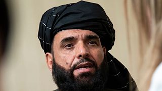 سهیل شاهین، سخنگوی طالبان
