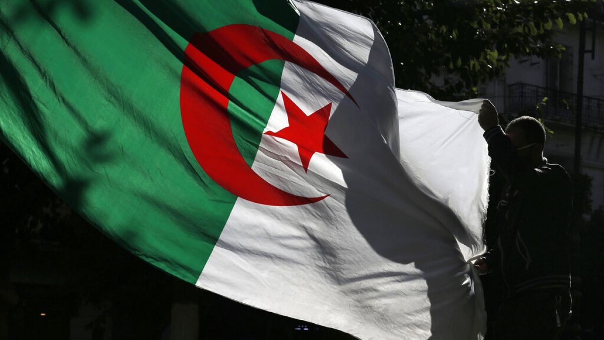 جزائري يحمل العلم الوطني الجزائري أثناء قيامه بمظاهرة ضد الحكومة في الجزائر العاصمة، الجمعة 29 نوفمبر 2019