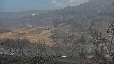 New wildfire breaks-out on the fire-stricken island of Evia