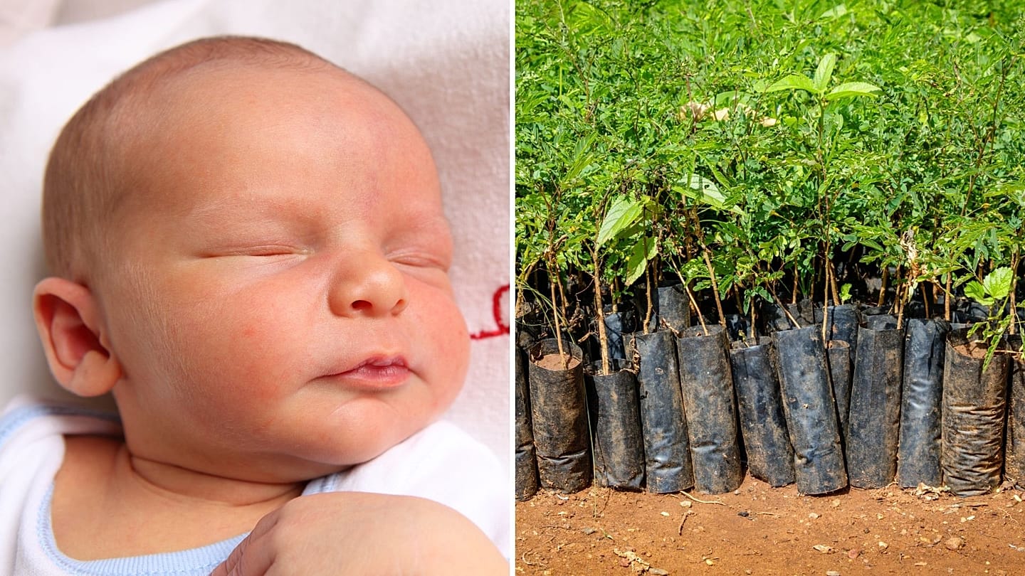 Which country is planting a tree for every baby that is born 